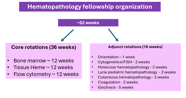 3hematopathologyfellowship